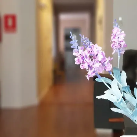 Gran Centro Historico Apartment *